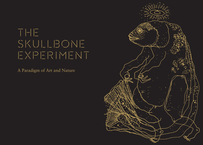 The Skullbone Experiment - QVMAG