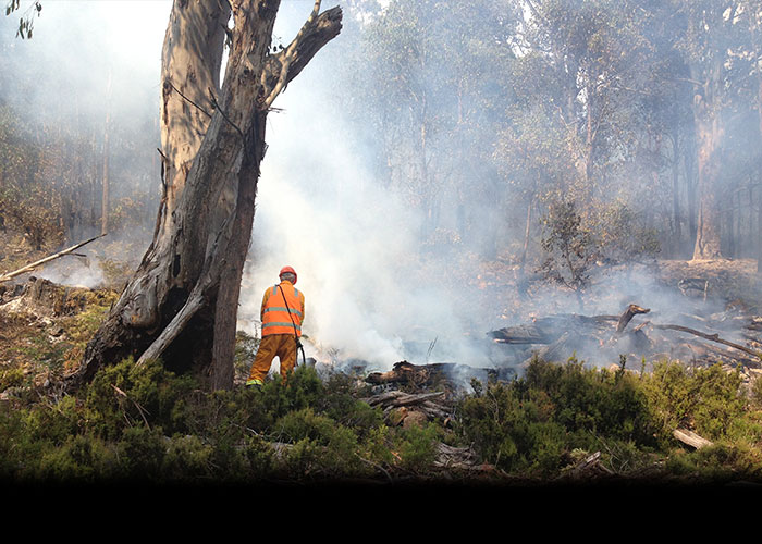 Reserves Officer, Bruce Hay, attempting to control the fire at Pine Tier - Denna Kingdom