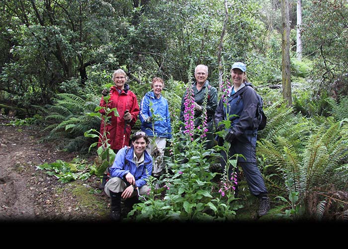 Weeding at Liffey Reserve